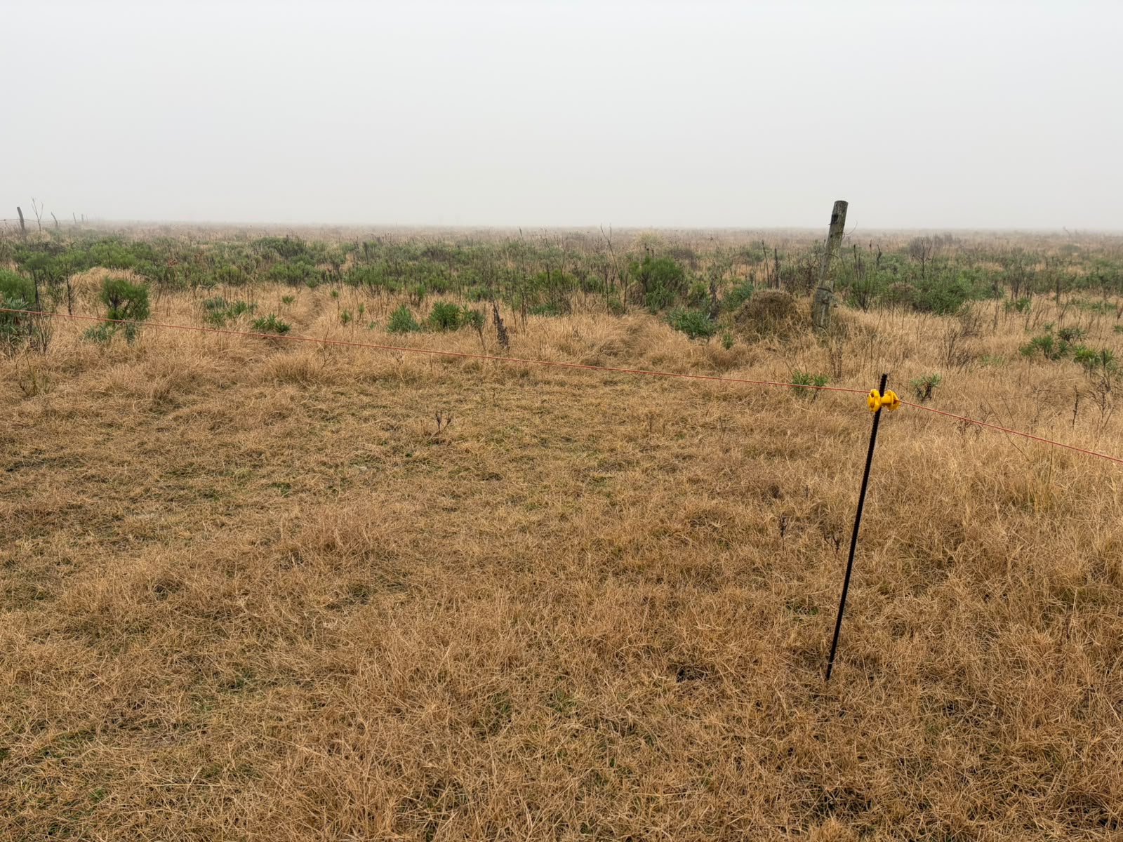 Campo Ganadero de 110 has — sa pereira — Venta, foto 3 de 6