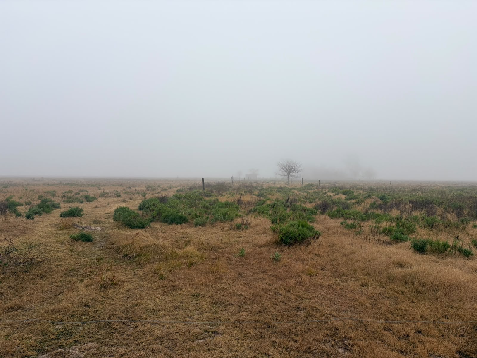 Campo Ganadero de 110 has — sa pereira — Venta, foto 1 de 6