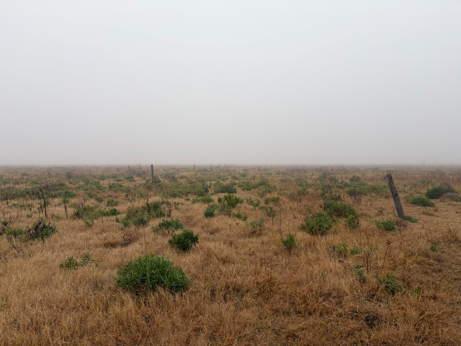 Campo Ganadero de 110 has — sa pereira — Venta, foto 2 de 6