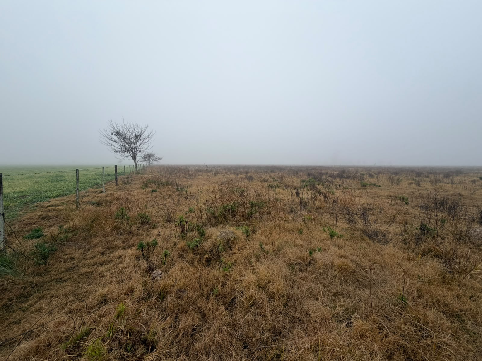 Campo Ganadero de 110 has — sa pereira — Venta, foto 5 de 6