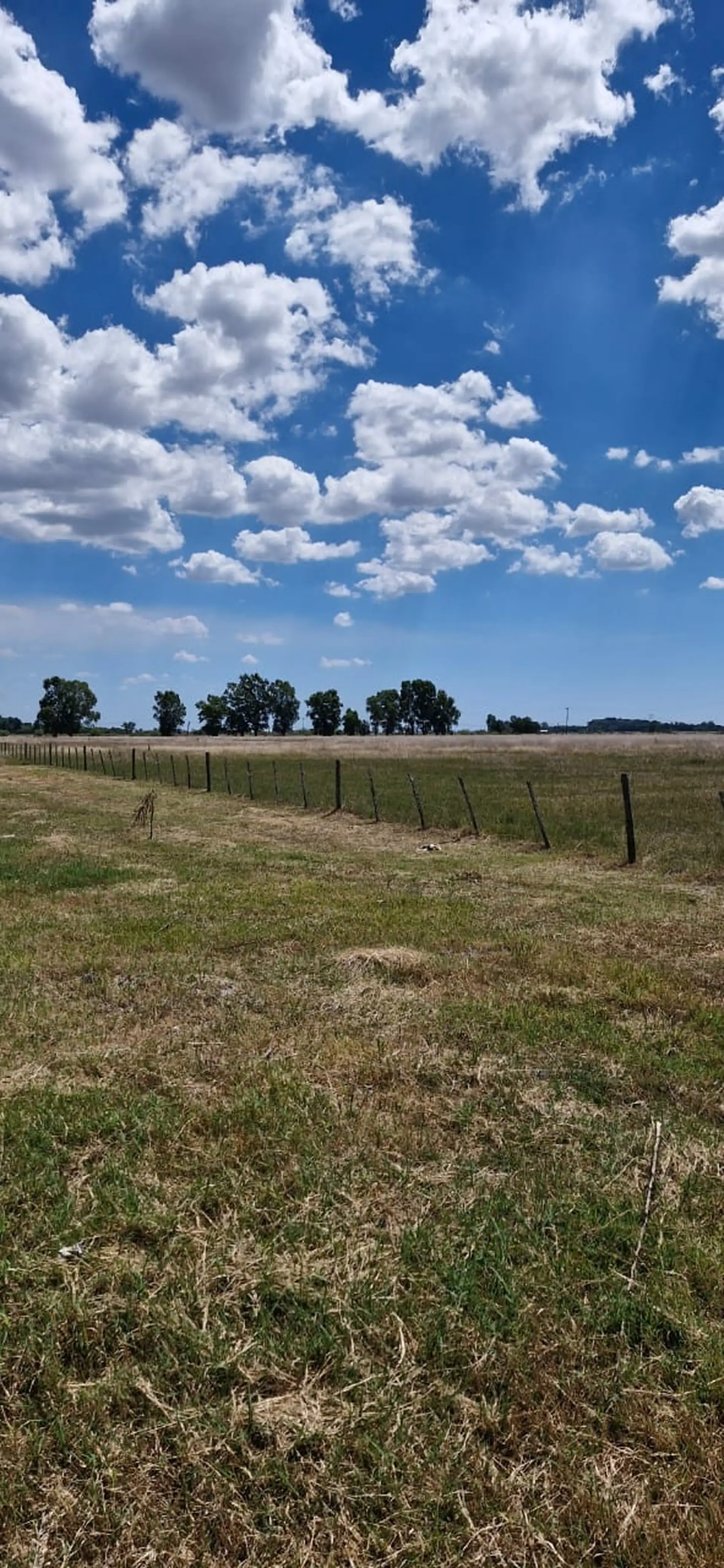 Lote en Domselaar — Mario Bravo 100, Domselaar, Partido de San Vicente — Venta, foto 4 de 8