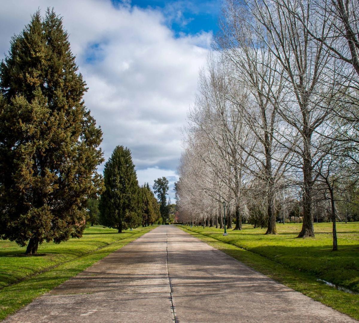 Lotes en Club de Campo La Federala en Lobos — Ruta 205 Km 105, Lobos, Lobos — Venta, foto 2 de 8