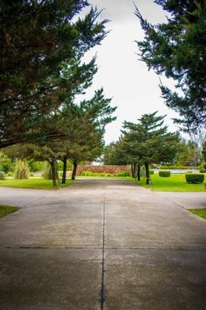 Casa 3 amb en La Federala — Ruta 205 Km 105, Lobos, Lobos — Venta, foto 8 de 8