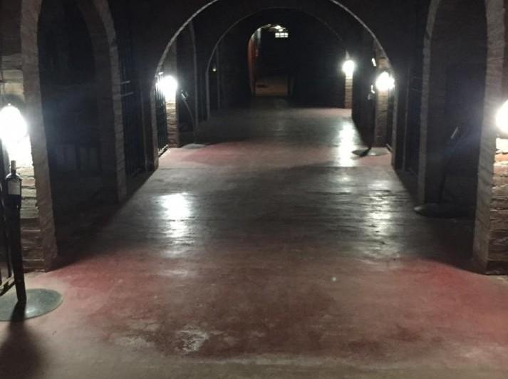 Bodega y Viñedo en Mendoza — Mendoza Capital — Venta, foto 2 de 6