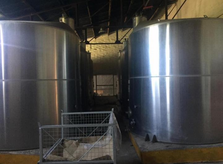Bodega y Viñedo en Mendoza — Mendoza Capital — Venta, foto 3 de 6