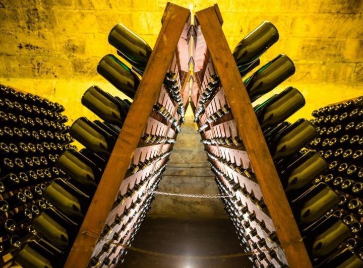 Bodega y Viñedo en Mendoza — Mendoza Capital — Venta, foto 4 de 6