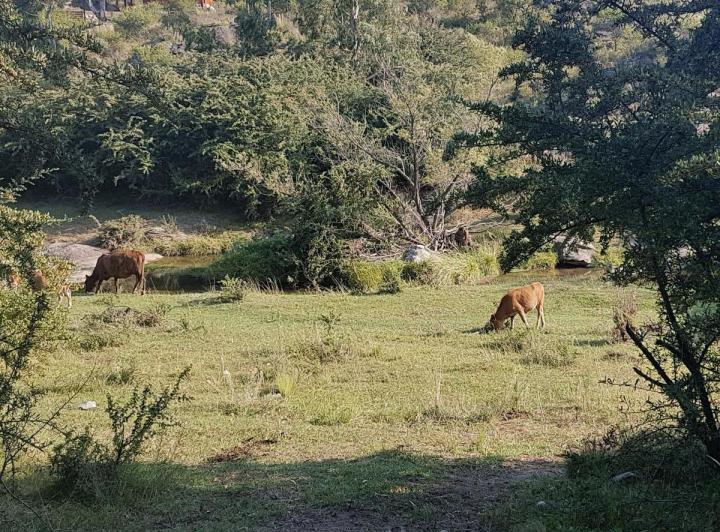 Lote en Los 3 Arroyos — los Tres Arroyos — Venta, foto 4 de 8