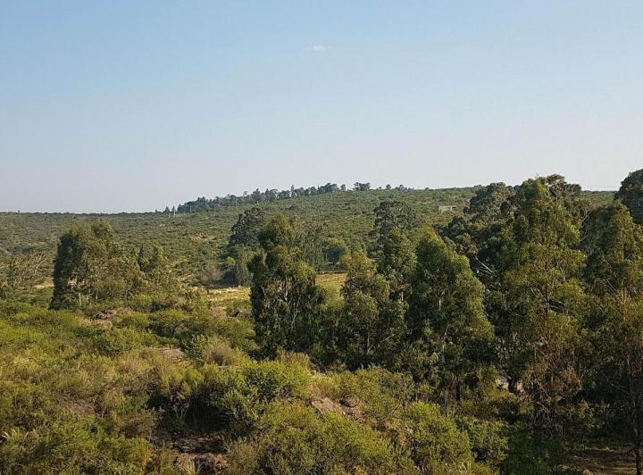 Lote en Los 3 Arroyos — los Tres Arroyos — Venta, foto 7 de 8