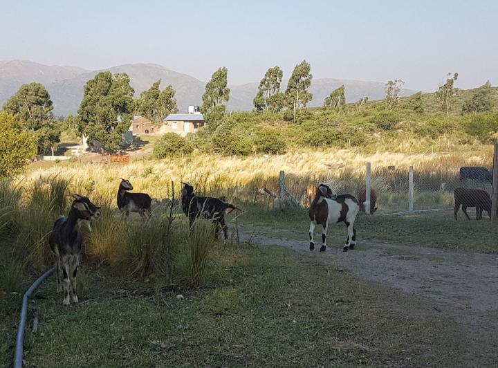 Lote en Los 3 Arroyos — los Tres Arroyos — Venta, foto 8 de 8