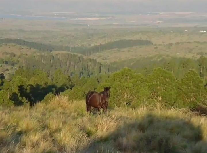 Lote en Los Mertecos — la Cumbrecita — Venta, foto 4 de 8