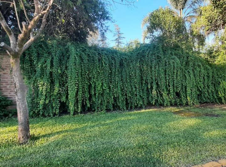Lote en Villa Rivera Indarte — Cantera de Quirpo al 9000 — Venta, foto 3 de 8