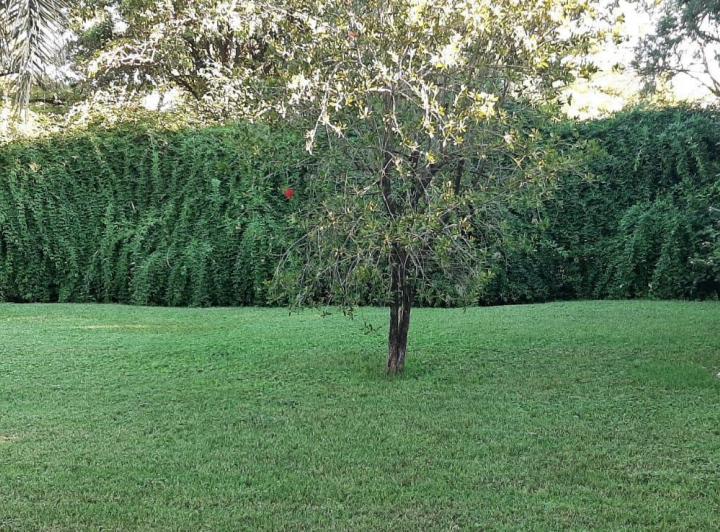 Lote en Villa Rivera Indarte — Cantera de Quirpo al 9000 — Venta, foto 6 de 8