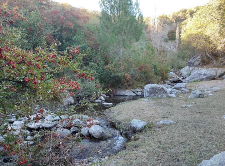 Lote en San Javier, Córdoba — En Venta Campo de 5 o 10 Hectareas con Arroyo en San Javier con Escritura, Traslasierra — Venta, foto 3 de 8