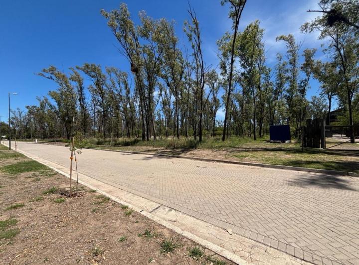 Lote Mixto en Nuevo Malagueño — Venta Macro - Lote Mixto- 4.539 mt / Numa Nuevo Malagueño- — Venta, foto 1 de 8