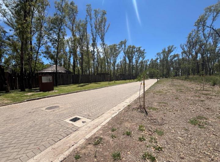 Lote Mixto en Nuevo Malagueño — Venta Macro - Lote Mixto- 4.539 mt / Numa Nuevo Malagueño- — Venta, foto 3 de 8