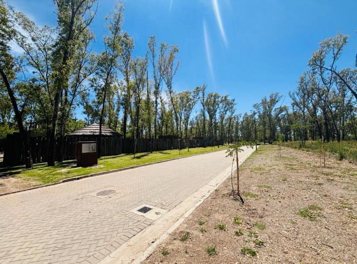 Lote Mixto en Nuevo Malagueño — Venta Macro - Lote Mixto- 4.539 mt / Numa Nuevo Malagueño- — Venta, foto 4 de 8