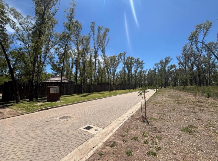 Lote Mixto en Nuevo Malagueño — Venta Macro - Lote Mixto- 4.539 mt / Numa Nuevo Malagueño- — Venta, foto 5 de 8