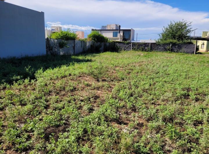 Lote en Torres Amaral — Torres Amaral Villa Dolores — Venta, foto 4 de 8