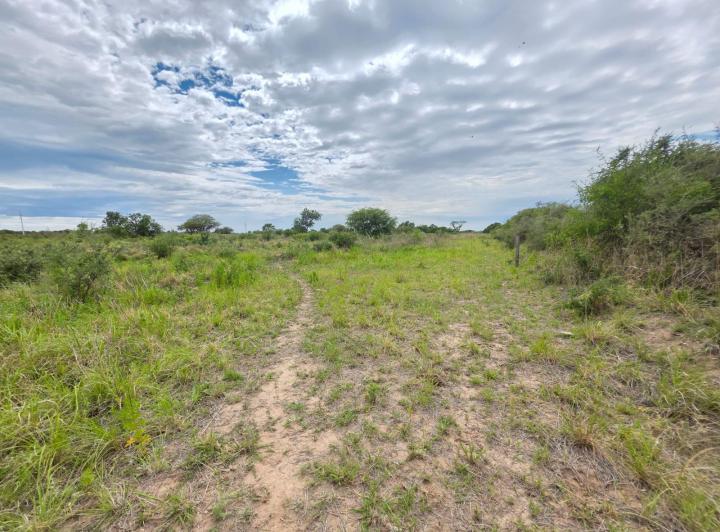 Campo en Santa María — -31.529889, -64.223167 — Venta, foto 1 de 6