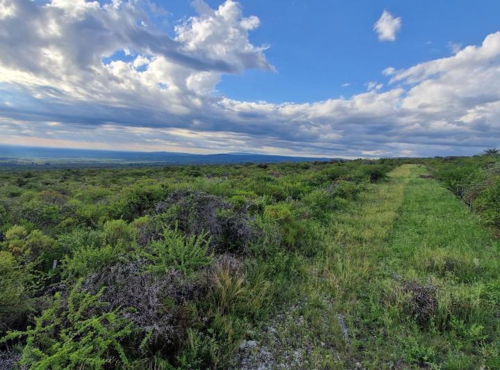 Lote en San Javier — Terreno en Venta de 1 Hectárea Muy Hermoso en Achiras Arriba Traslasierra!!! — Venta, foto 1 de 8