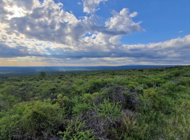 Lote en San Javier — Terreno en Venta de 1 Hectárea Muy Hermoso en Achiras Arriba Traslasierra!!! — Venta, foto 2 de 8