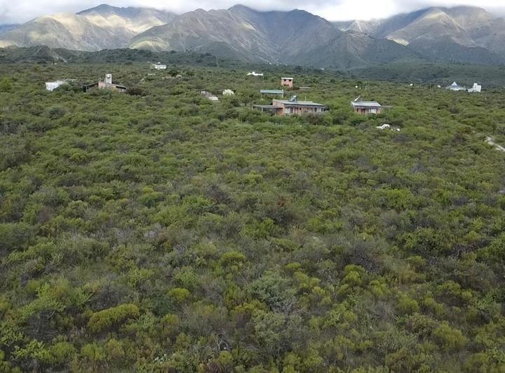 Lote en San Javier — Terreno en Venta de 1 Hectárea Muy Hermoso en Achiras Arriba Traslasierra!!! — Venta, foto 3 de 8