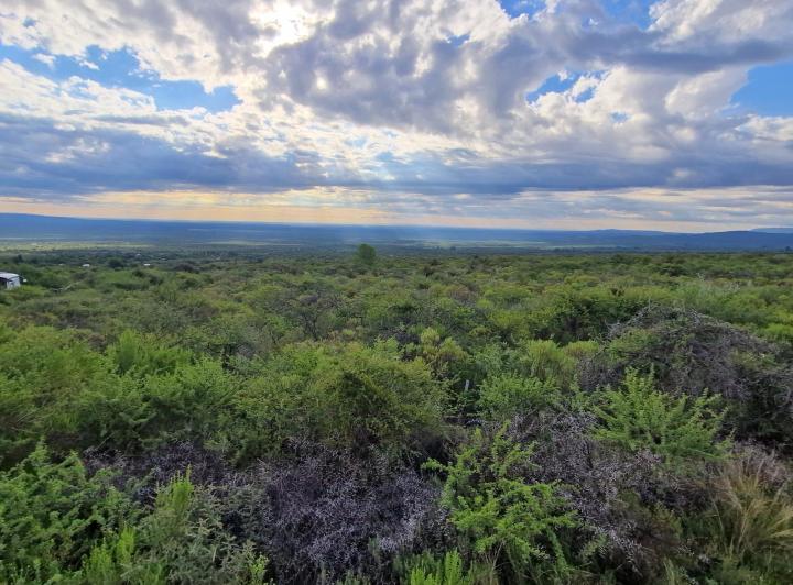 Lote en San Javier — Terreno en Venta de 1 Hectárea Muy Hermoso en Achiras Arriba Traslasierra!!! — Venta, foto 4 de 8