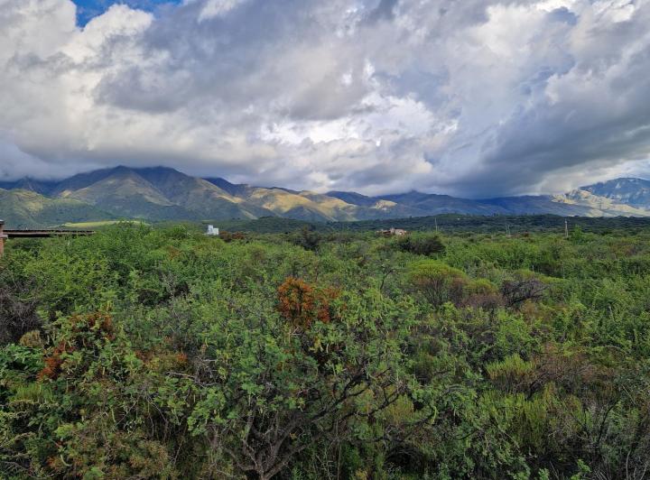 Lote en San Javier — Terreno en Venta de 1 Hectárea Muy Hermoso en Achiras Arriba Traslasierra!!! — Venta, foto 5 de 8