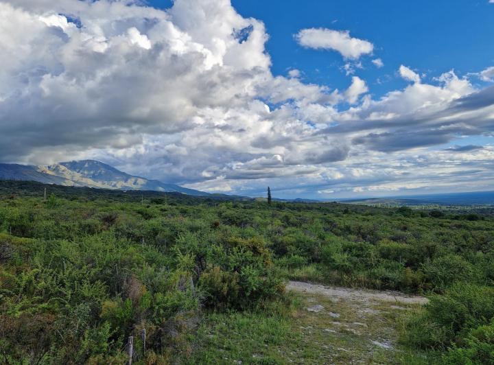 Lote en San Javier — Terreno en Venta de 1 Hectárea Muy Hermoso en Achiras Arriba Traslasierra!!! — Venta, foto 6 de 8