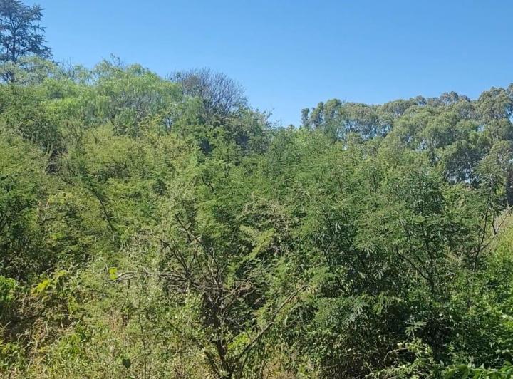 Lote en La Granja — Ombú s/n — Venta, foto 7 de 8