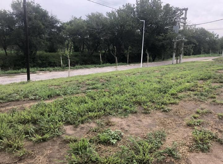 Lote en Tejas 4 — Venta, foto 1 de 8