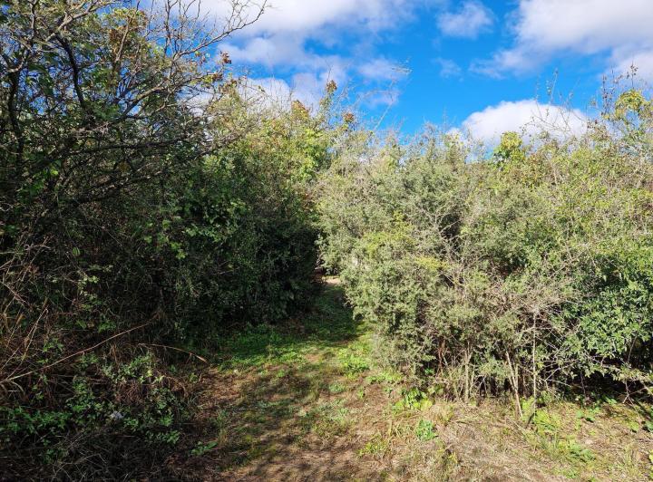 Lote en San Javier, Traslasierra — En Venta Terrenos Sobre Ruta 14 en San Javier, Traslasierra!! — Venta, foto 3 de 8