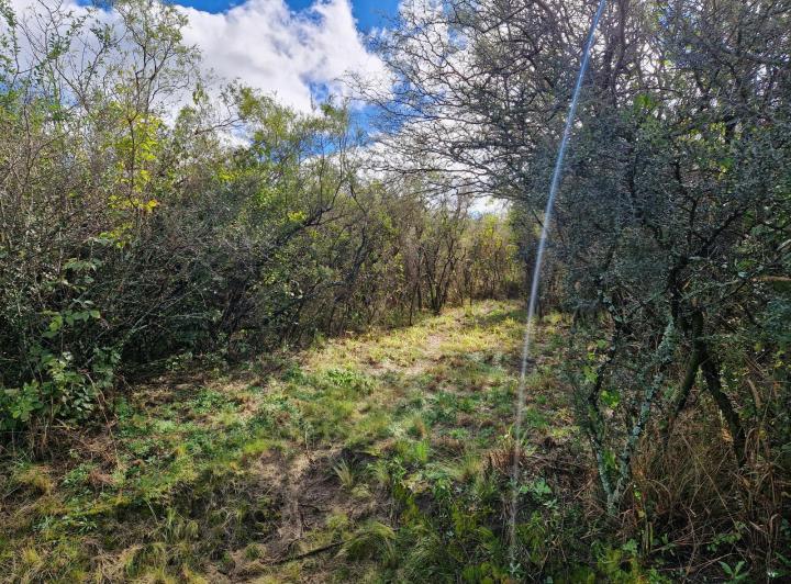 Lote en San Javier, Traslasierra — En Venta Terrenos Sobre Ruta 14 en San Javier, Traslasierra!! — Venta, foto 4 de 8