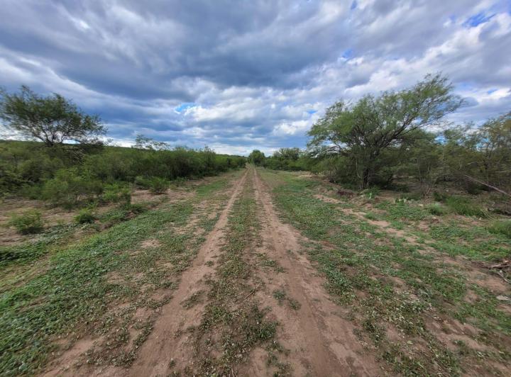 Lote en Sauce Arriba — Venta, foto 3 de 8