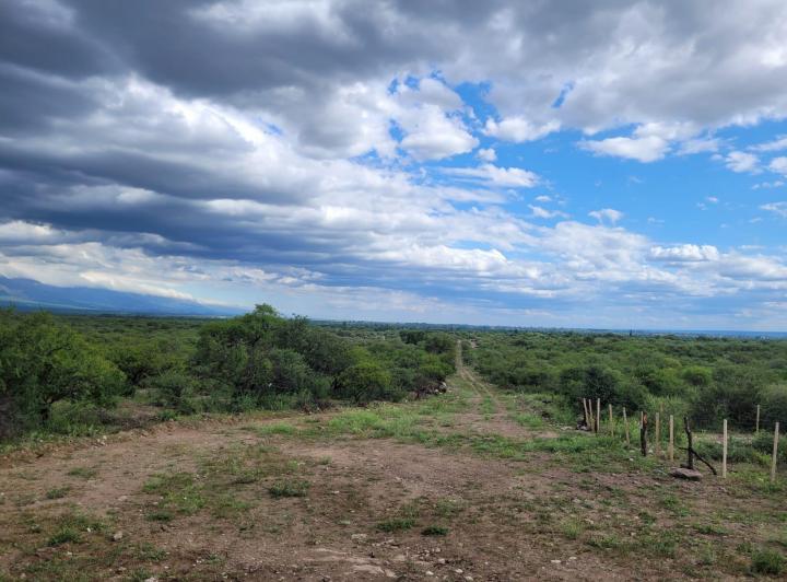 Lote en Sauce Arriba — Venta, foto 4 de 8