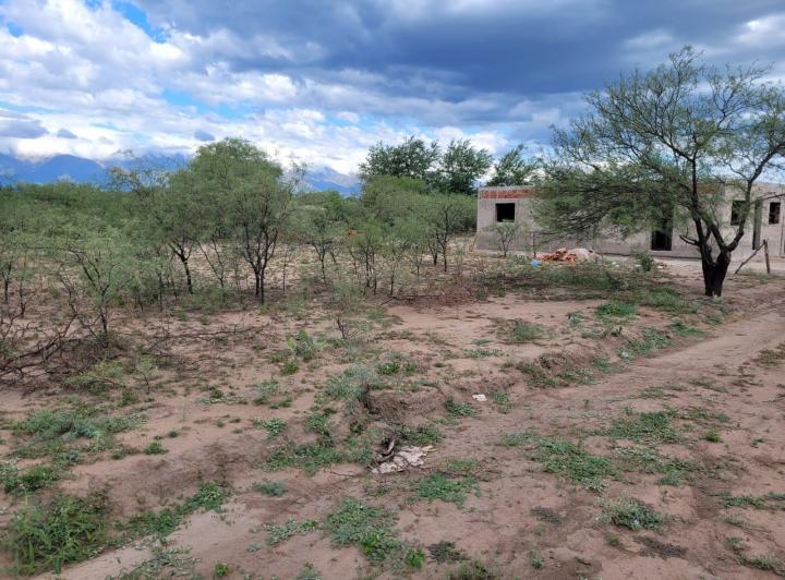 Lote en Sauce Arriba — Venta, foto 5 de 8