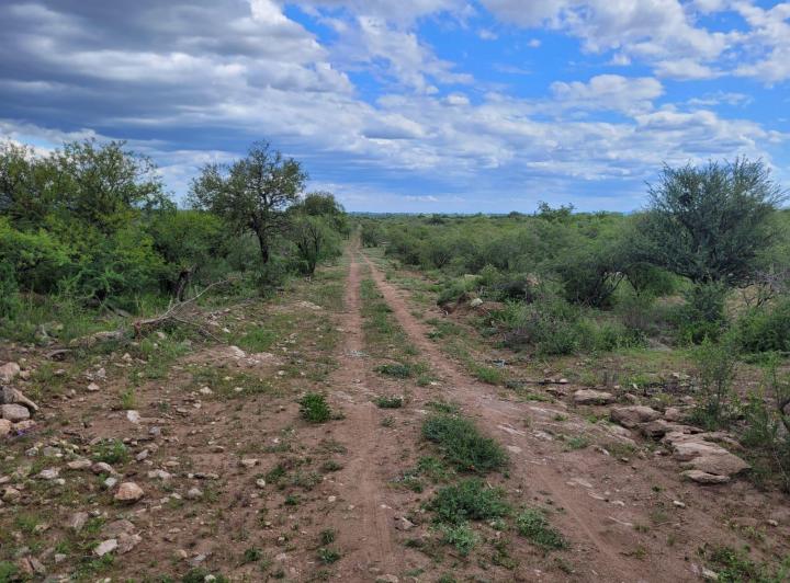Lote en Sauce Arriba — Venta, foto 6 de 8