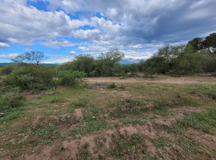 Lote en Sauce Arriba — Venta, foto 8 de 8
