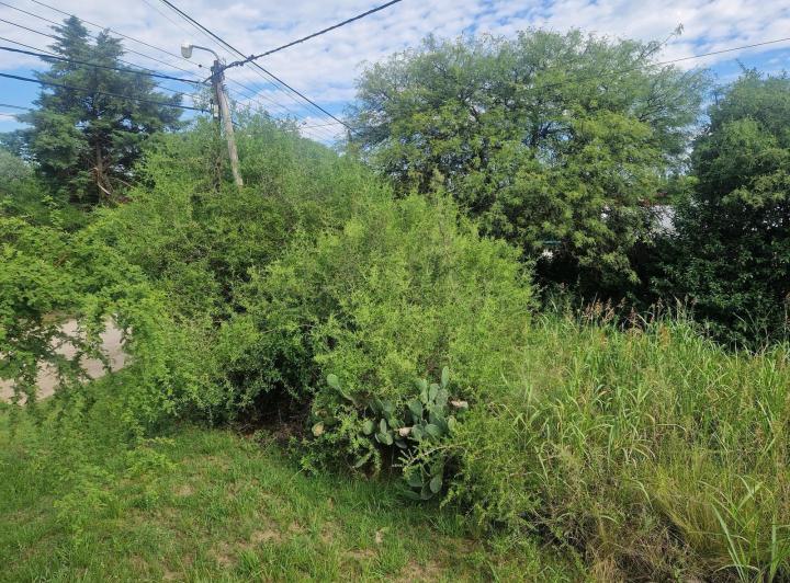 Lote en San Javier, Traslasierra — Terreno en Venta Ubicacion Ideal en San Javier, Traslasierra! — Venta, foto 3 de 8