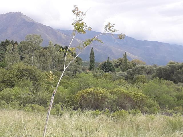 Lote en Rodeo de Piedra Traslasierra — Venta de Terrenos en Rodeo De Piedra Traslasierra!! — Venta, foto 4 de 8