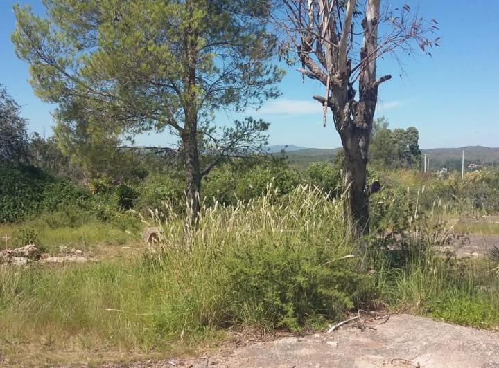 Lote en Cabalango — Vendo Terreno en Cabalango - 34 Hectáreas! — Venta, foto 6 de 8