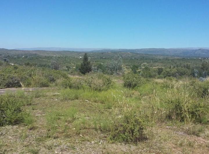 Lote en Cabalango — Vendo Terreno en Cabalango - 34 Hectáreas! — Venta, foto 7 de 8