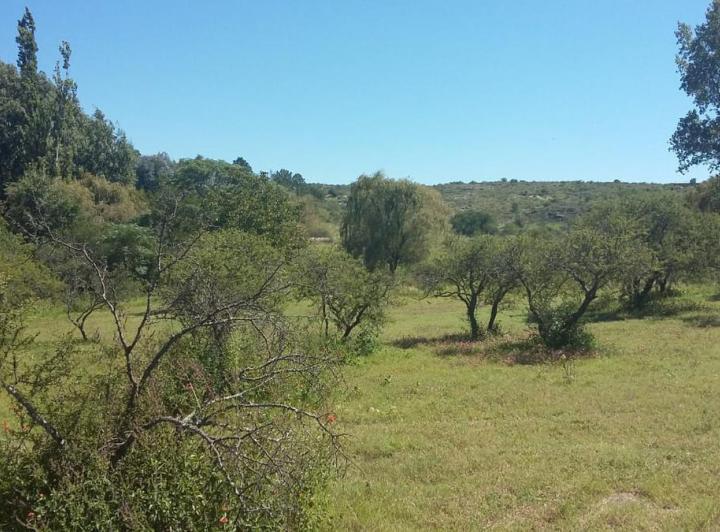 Lote en Cabalango — Vendo Terreno en Cabalango - 34 Hectáreas! — Venta, foto 8 de 8