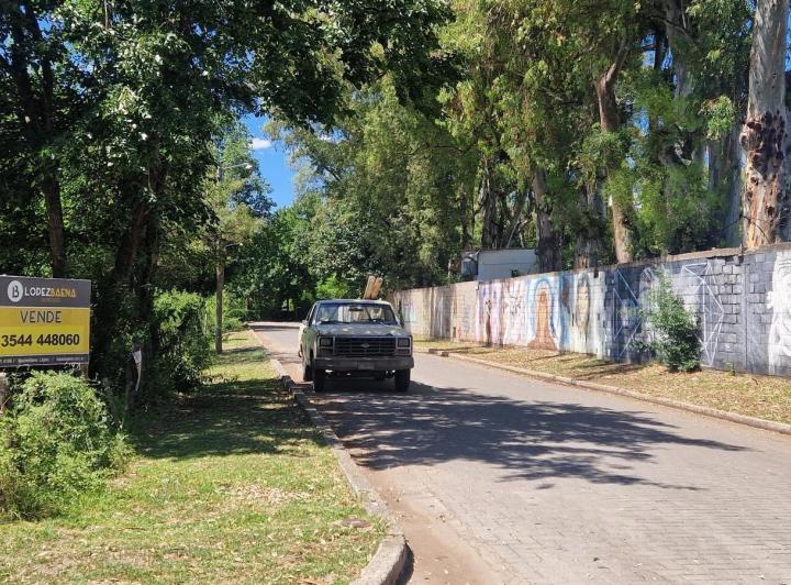 Lote en Centro de Villa de Las Rosas — Terreno en Venta en Centro de Villa de Las Rosas,,traslasierra! Financiacion!! — Venta, foto 5 de 8