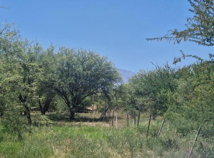 Lote en Las Tapias — Terreno EN LAS Tapias!! Dpto. SAN Javier Traslasierra!! Con Escritura!! — Venta, foto 1 de 8