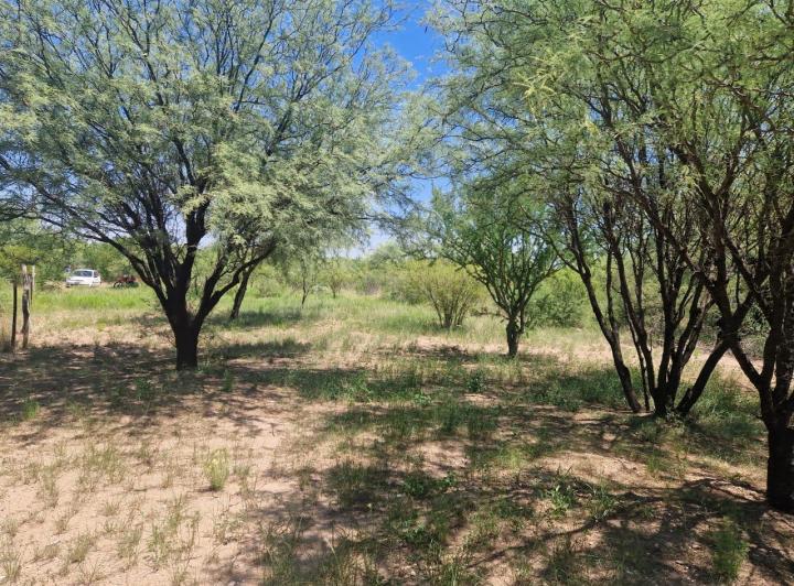 Lote en Las Tapias — Terreno EN LAS Tapias!! Dpto. SAN Javier Traslasierra!! Con Escritura!! — Venta, foto 4 de 8
