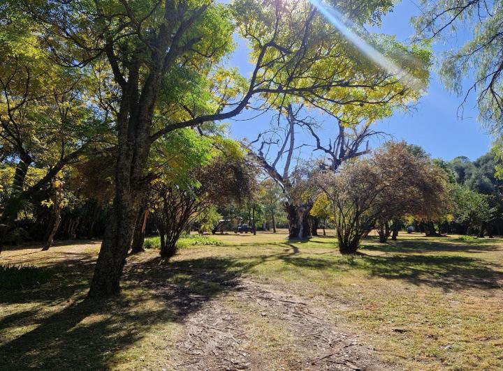 Casa con parque y cancha de pádel en San Javier — En Venta Dos Casas, Dos Piletas, Cancha de Pádel, Parque de 2 Hectáreas en San Javier, Traslasierra!! — Venta, foto 7 de 8