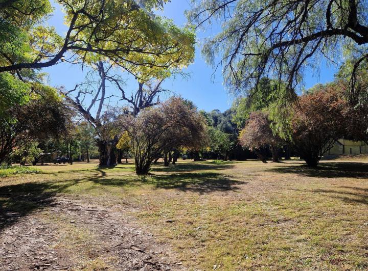 Casa con parque y cancha de pádel en San Javier — En Venta Dos Casas, Dos Piletas, Cancha de Pádel, Parque de 2 Hectáreas en San Javier, Traslasierra!! — Venta, foto 8 de 8