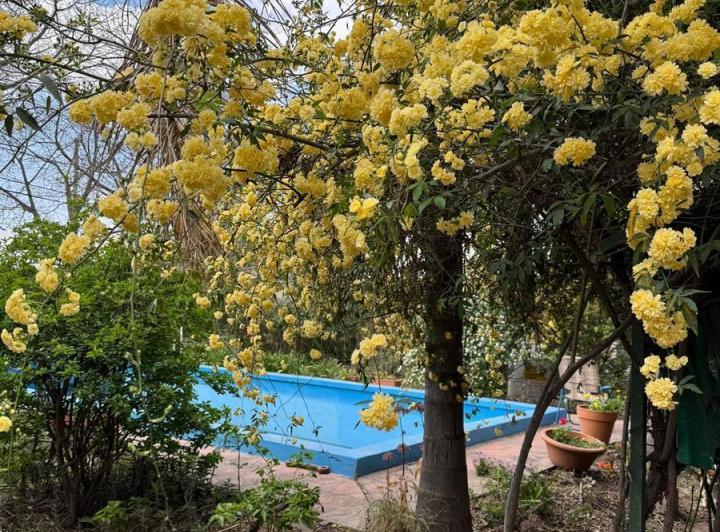 Casa 7 ambientes en El Talar — Talar de Mendiolaza Av Tisera al 3300 — Venta, foto 3 de 8