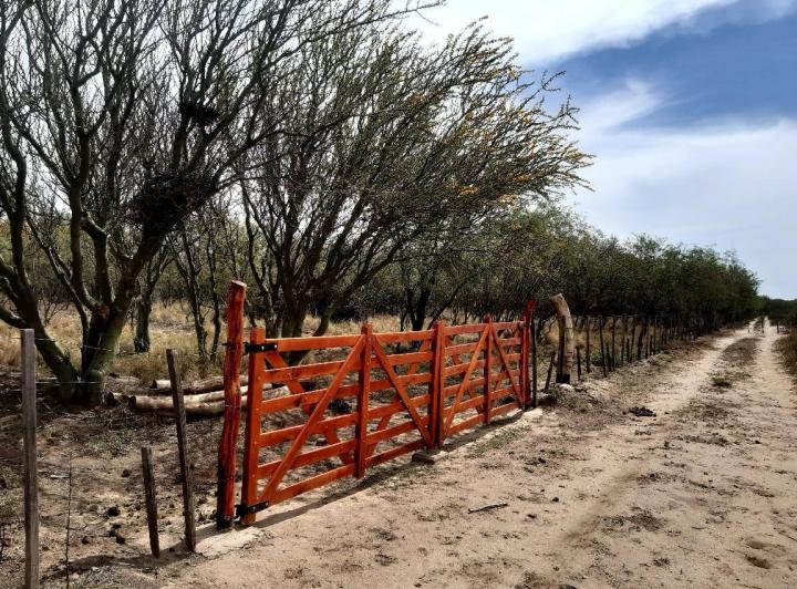 Lote en Villa Dolores — Una Hectárea en Venta en Villa Dolores,,traslasierra!! — Venta, foto 1 de 8